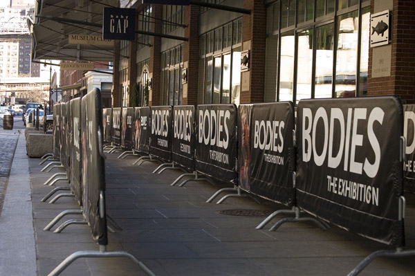 The lines to see the exhibition 'Bodies' are completely
empty.