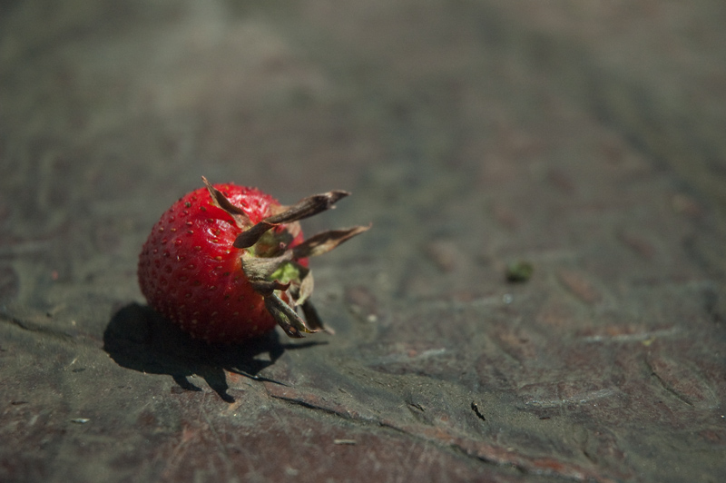 A strawberry on a loading dock.