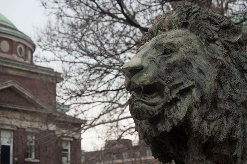 A statue of a lion on the campus of Columbia University.