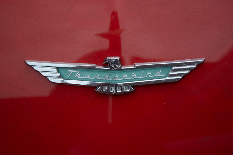 The photo shows the hood emblem of a Ford Thunderbird: wings spread wide, on a red hood.